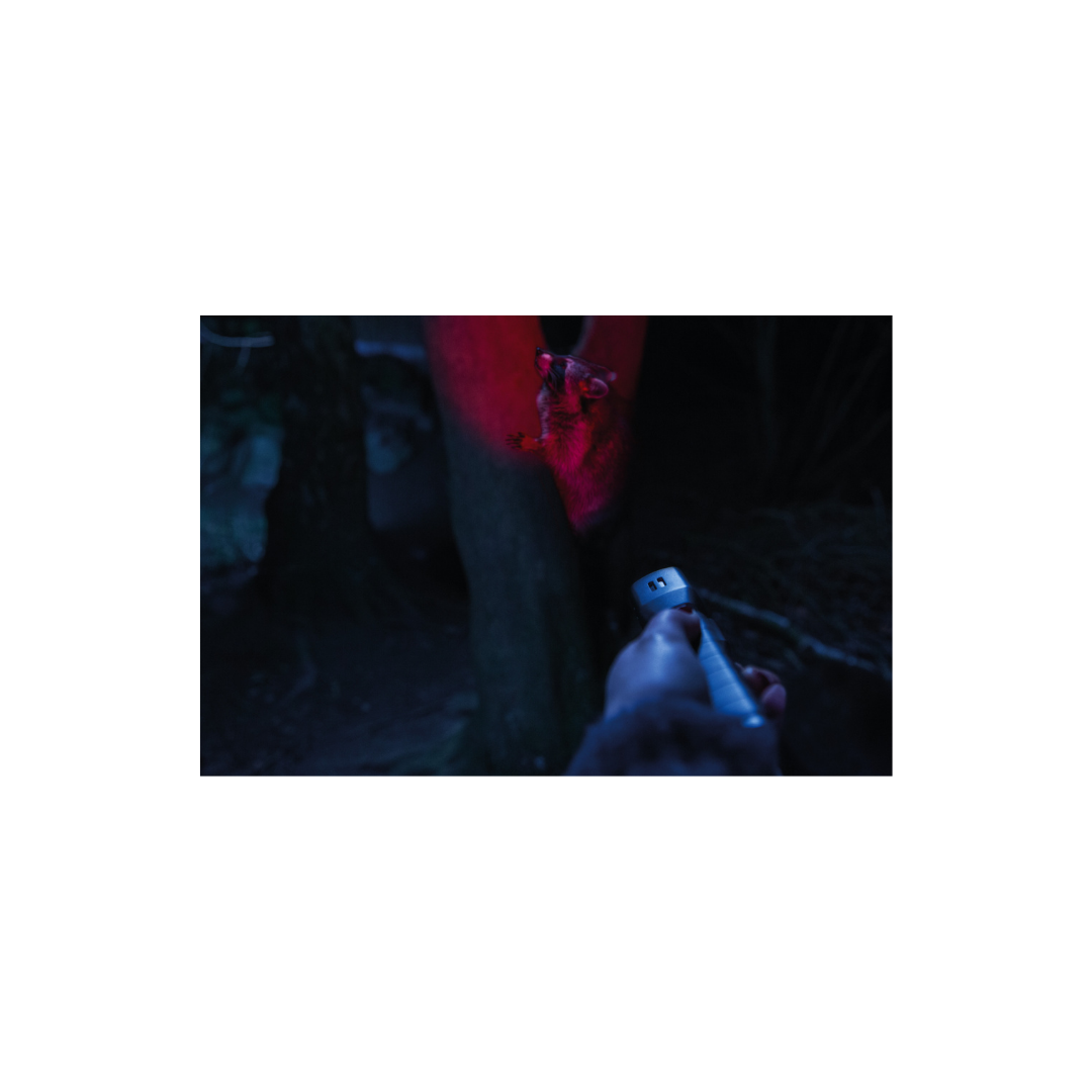 ⁦פנס מקצועי אבוס⁩ – תמונה ⁦3⁩