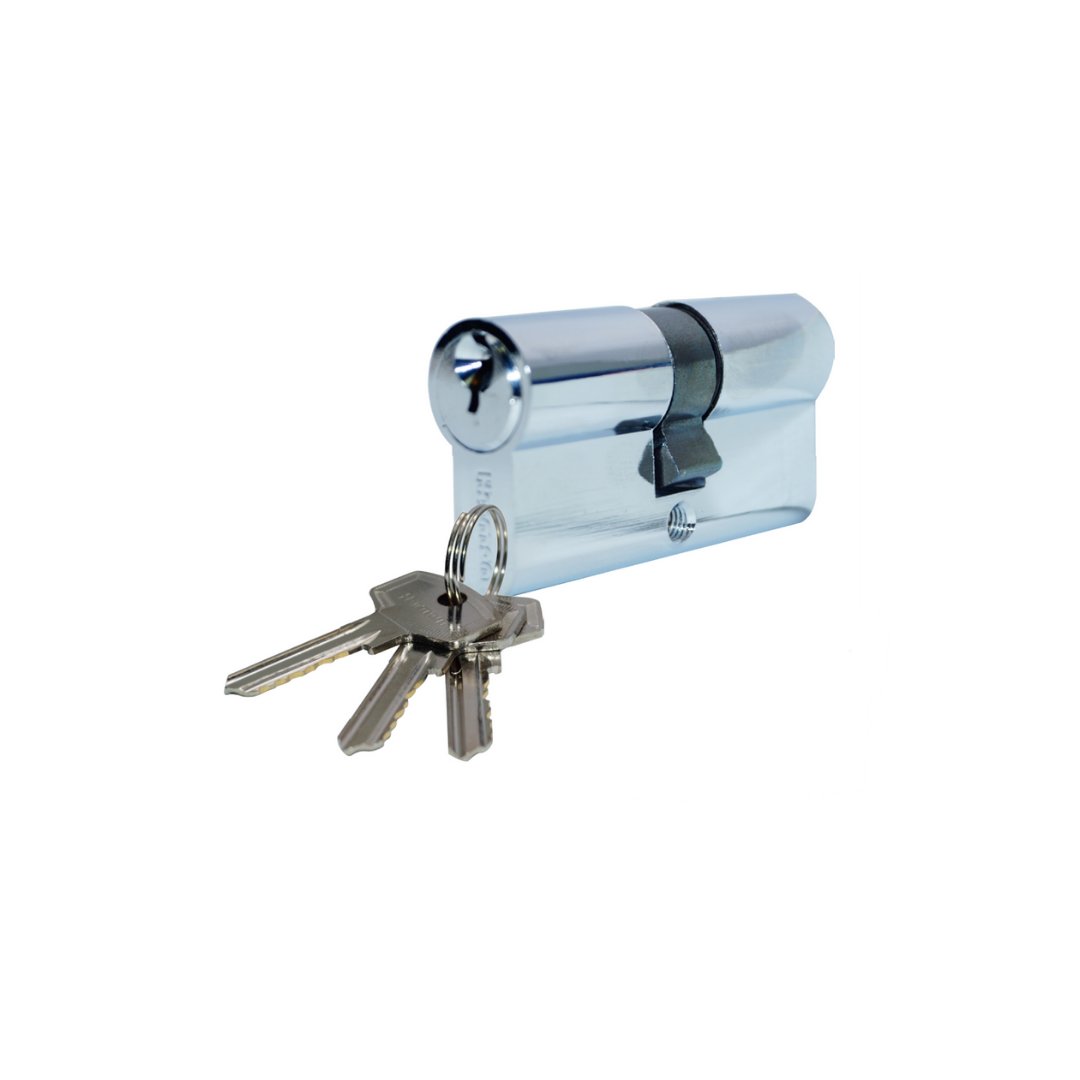 צילינדר פרימיום בליסטר