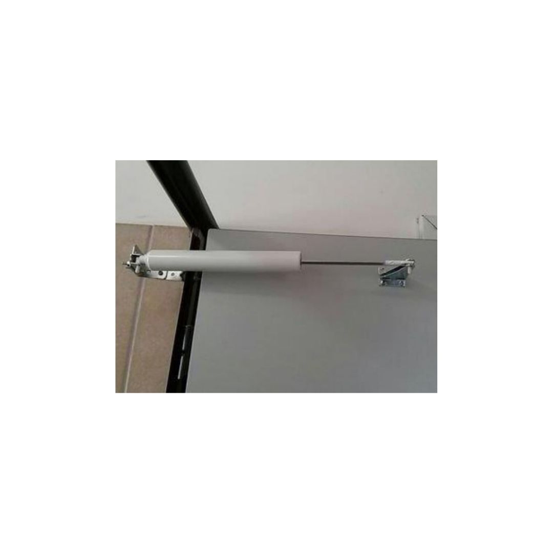 בוכנה פנאומטית