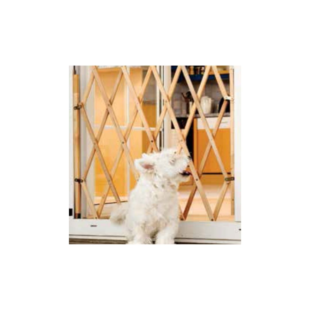 שער בטיחות לבעלי חיים קוקו