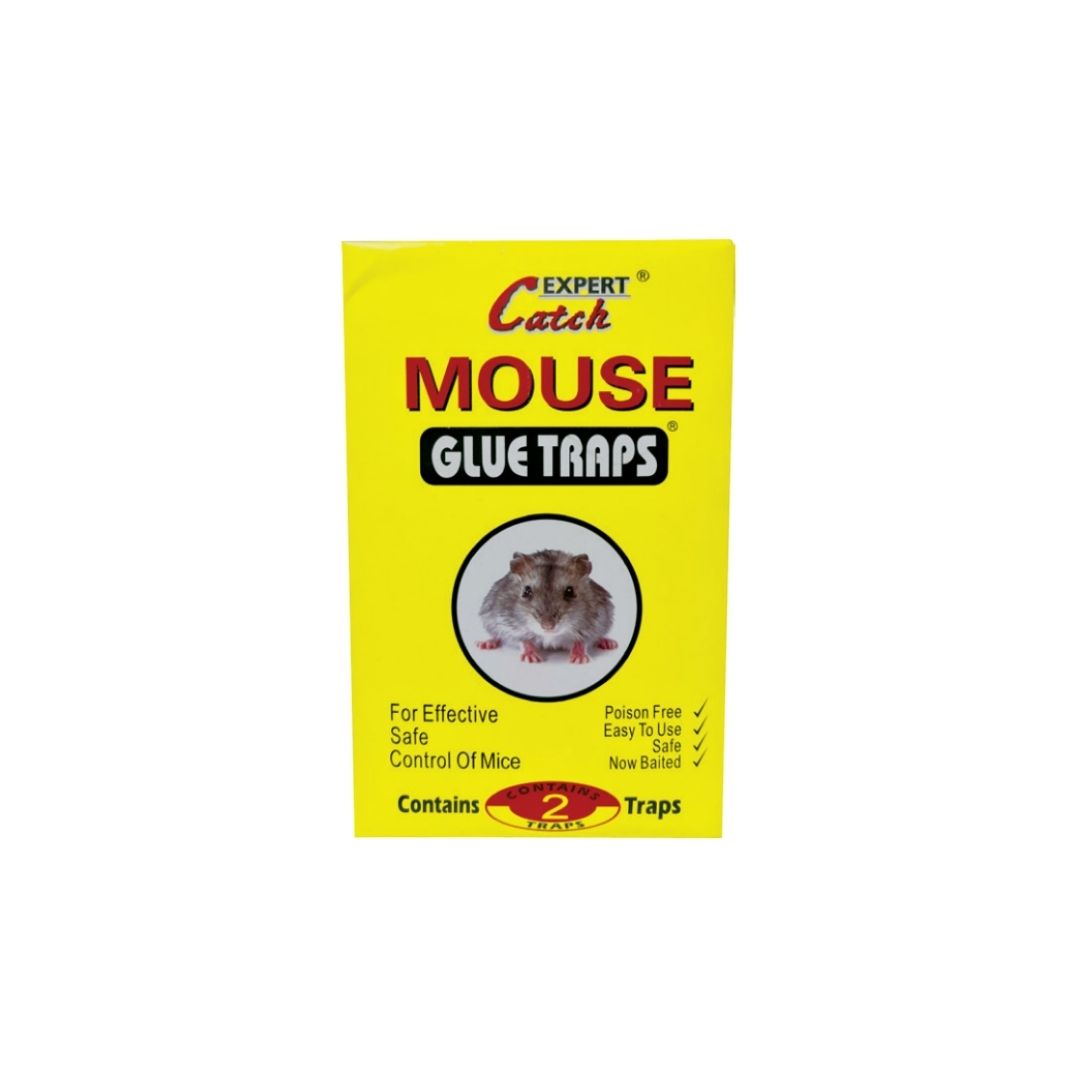 מלכודת דבק נגד עכברים דף שטוח