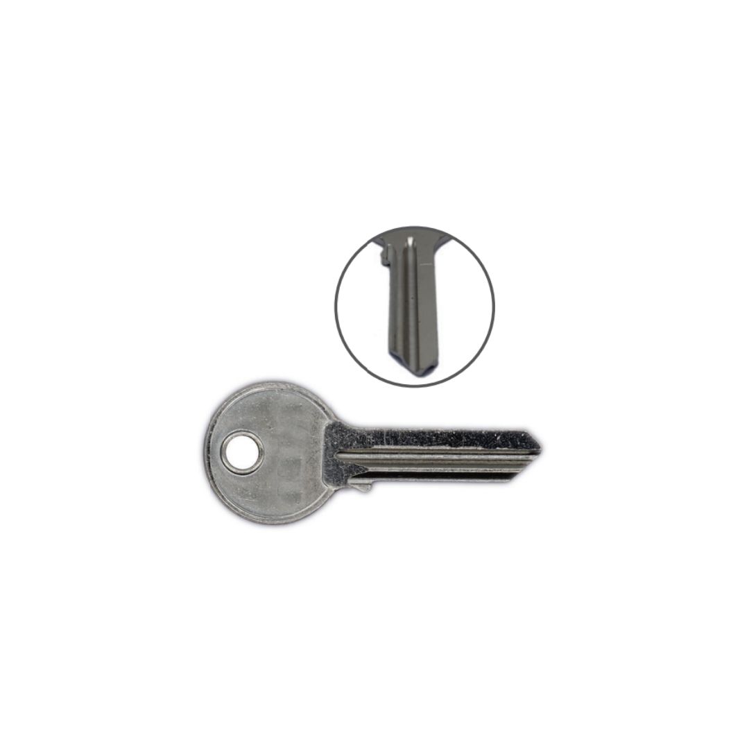 גלם אלבא אורגינל