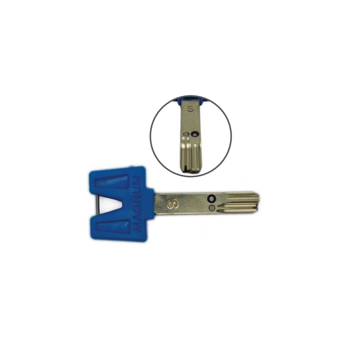 גלם אינטראקטיבי מגנום S