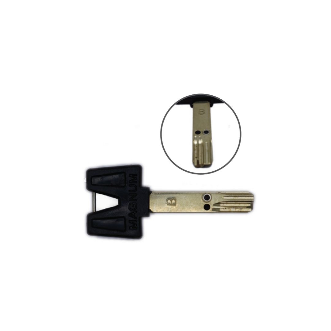 גלם אינטראקטיבי מגנום B