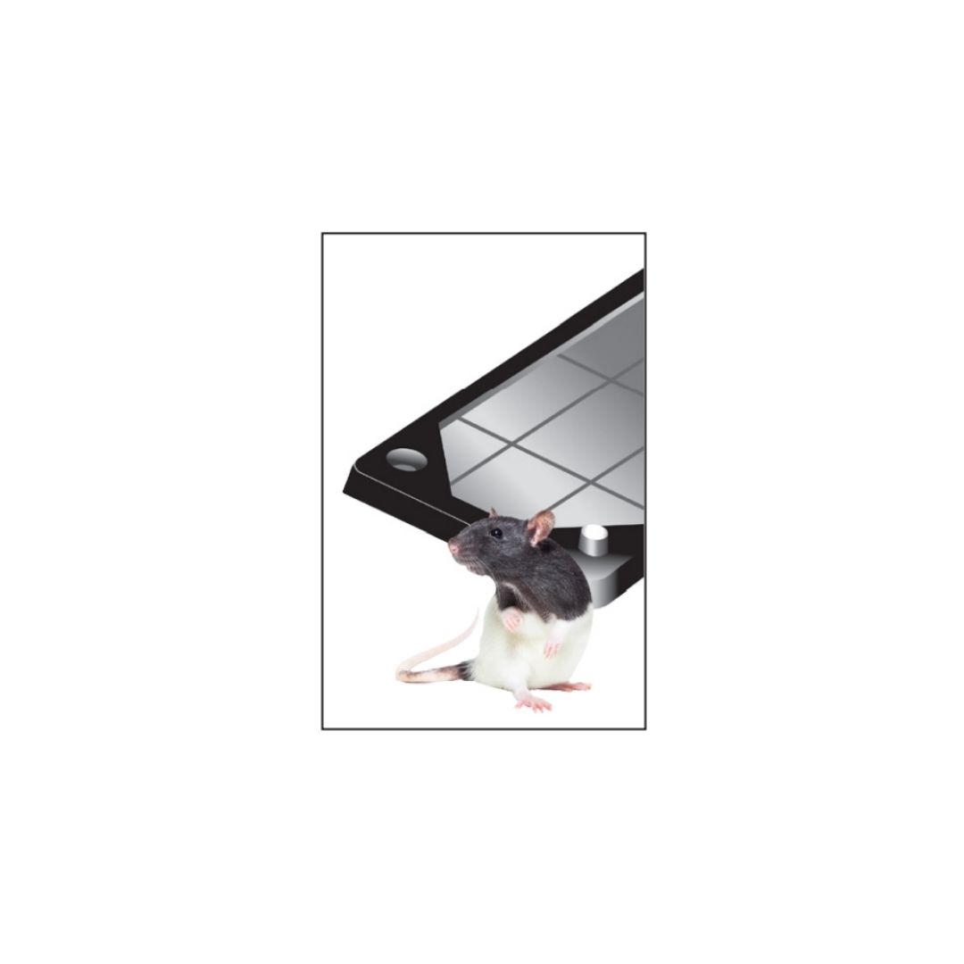 ⁦מלכודת דבק נגד עכברים פלסטיק⁩ – תמונה ⁦3⁩