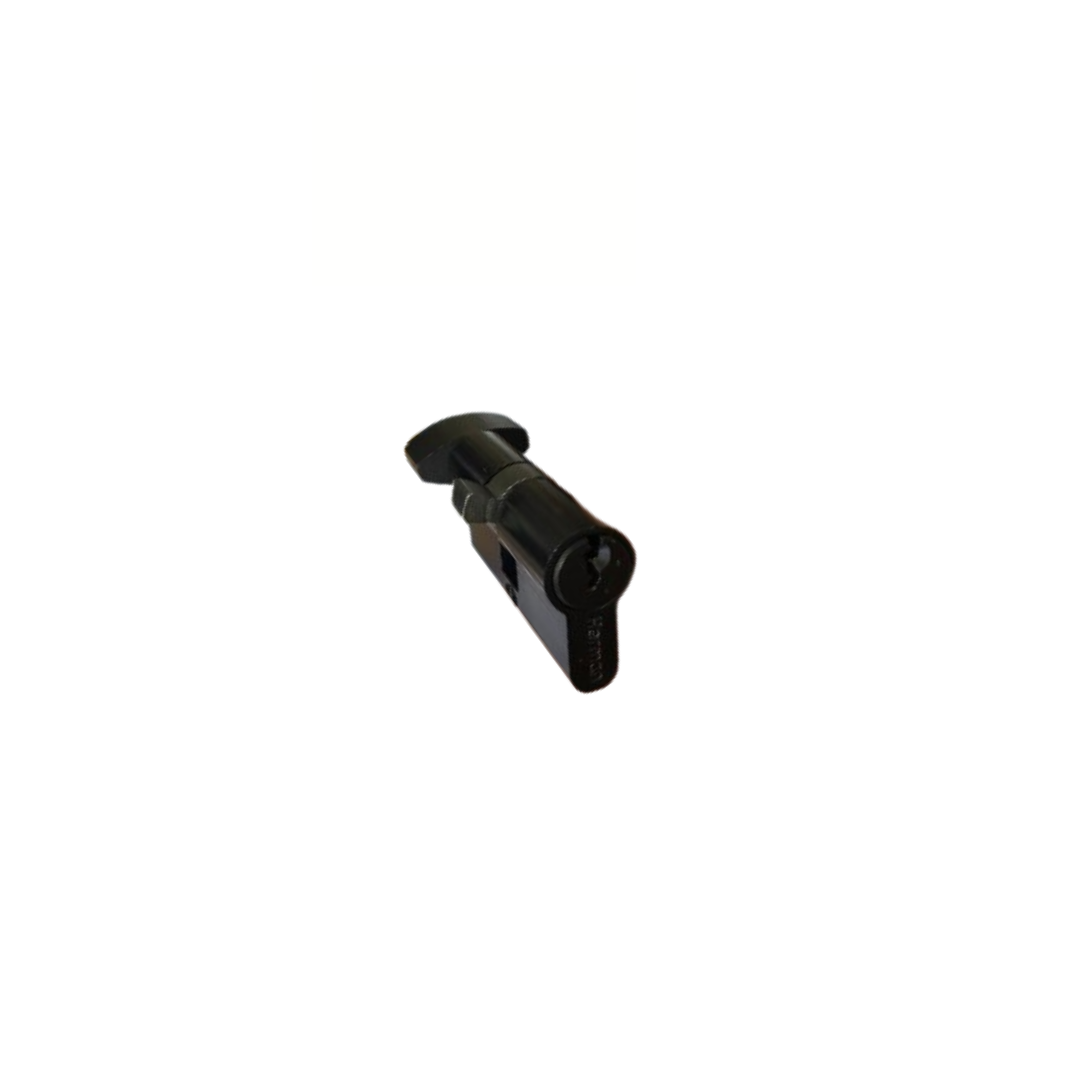 צילינדר מרכזי שחור